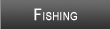 Greenwood Lake Fishing